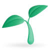 sprout